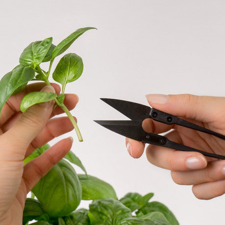 VÉRITABLE® mini Schere